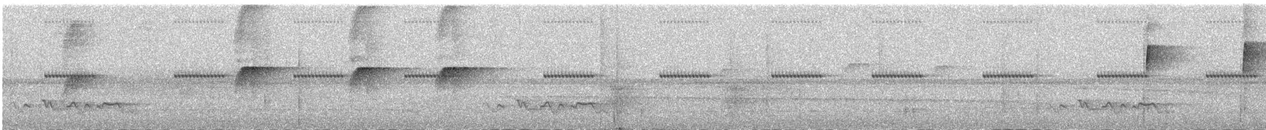 Olive-faced Flatbill - ML639582941