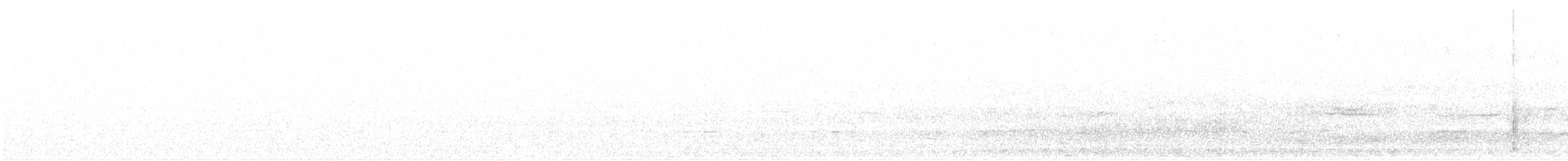 turpan černý - ML639583024
