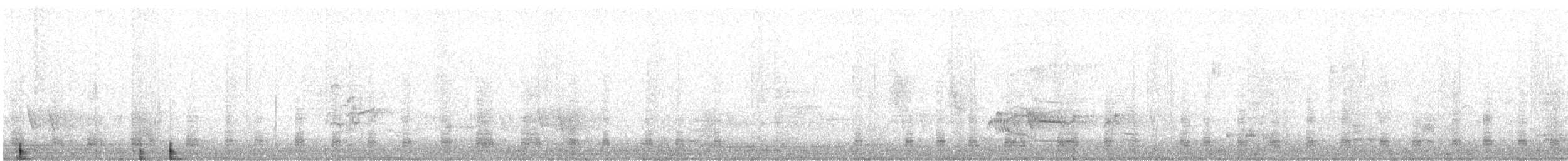 Australian Ibis - ML639583482