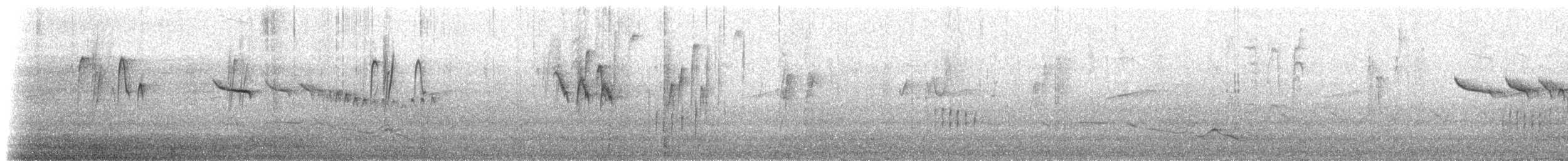 passerine sp. - ML639584607