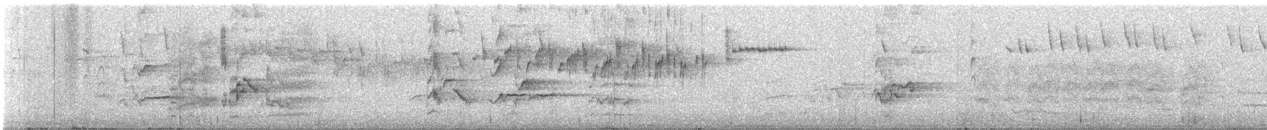 Splendid Fairywren - ML639584925