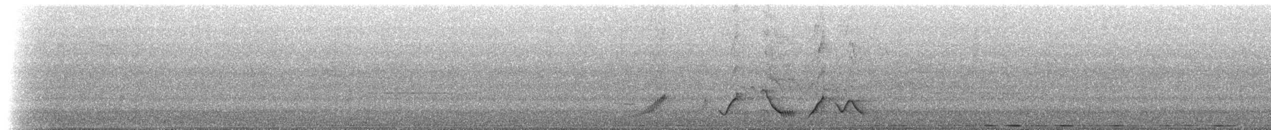 Grammatoptile strié - ML639585070