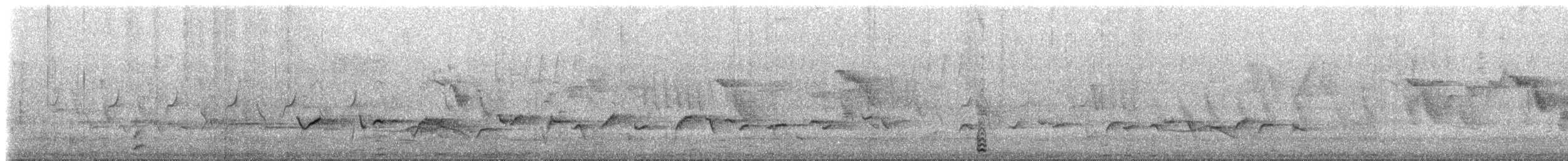 Grammatoptile strié - ML639585087