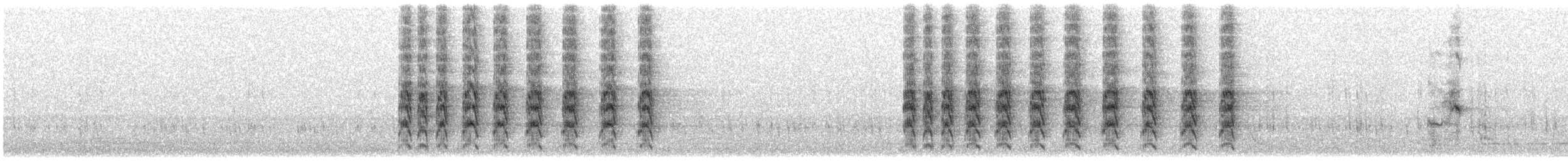 grønnkinnparakitt - ML639586378