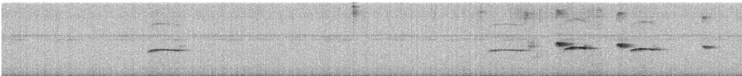 Southern Beardless-Tyrannulet (Northern) - ML639586422