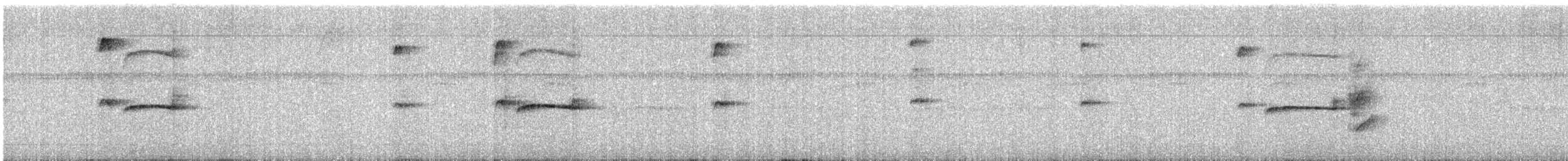 Southern Beardless-Tyrannulet (Northern) - ML639586424