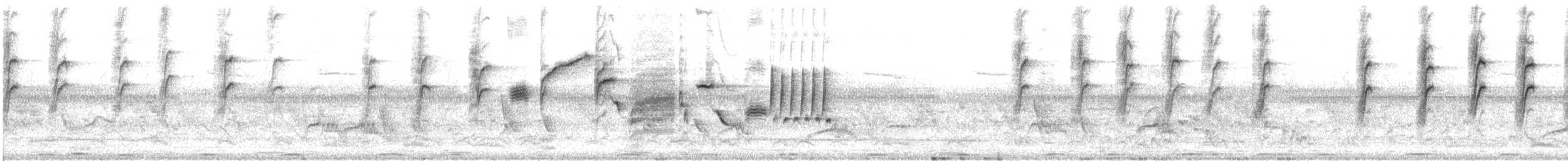 Bewick's Wren - ML639587419