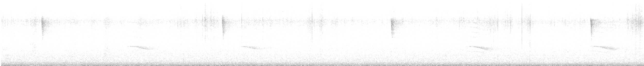 Northern Parula - ML639587511