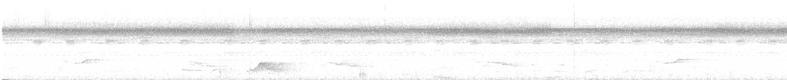 Common Pauraque - ML639587868