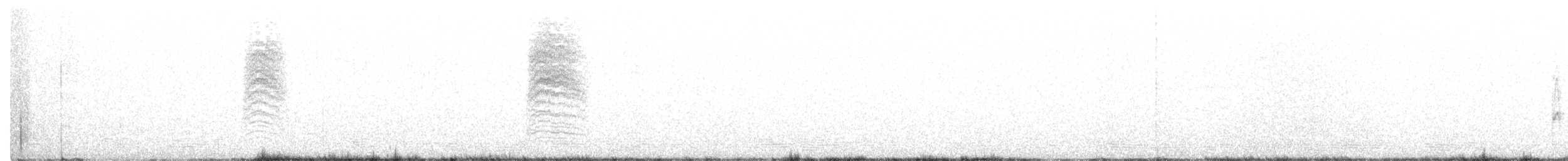Black-capped Gnatcatcher - ML639588052