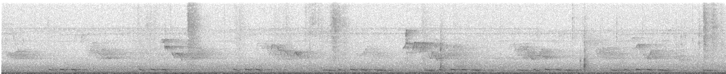 Black-billed Cuckoo - ML639589518