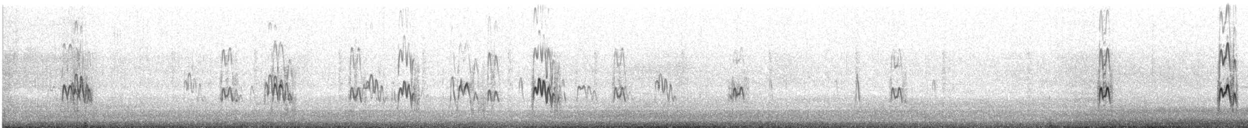 Aleutian Tern - ML639589766