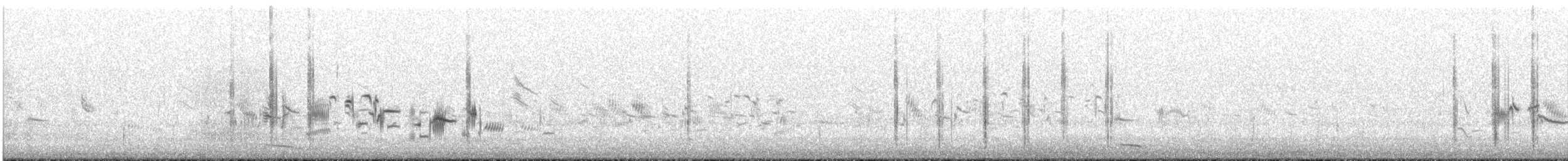Alpenstrandläufer (pacifica/arcticola) - ML639589878