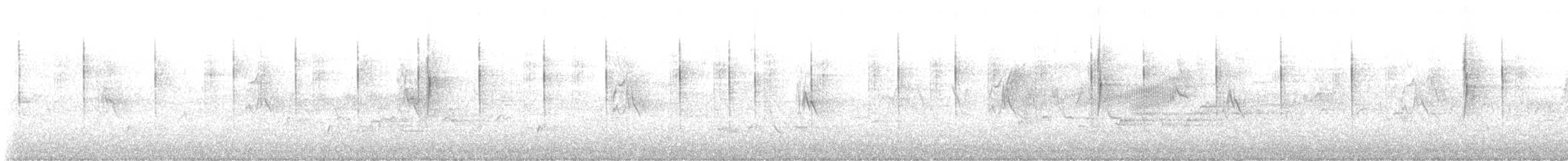 Pine Siskin - ML639591699