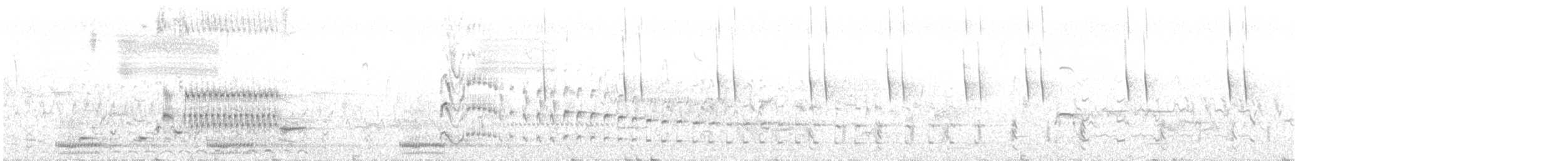 chřástal karolínský - ML639594219