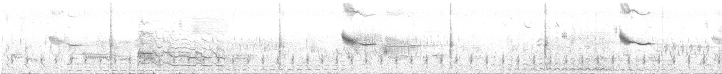 káně bělohrdlá - ML639594224