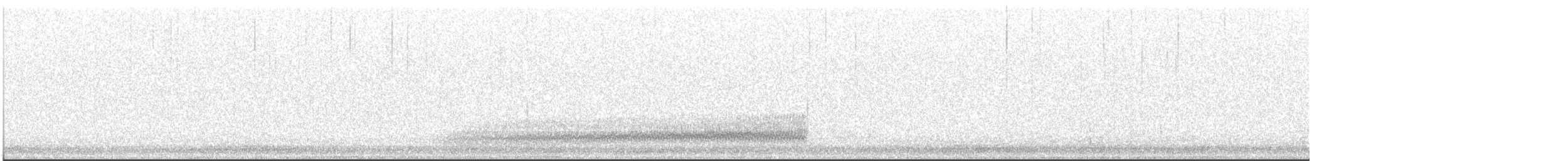 Western Barn Owl - ML639595000