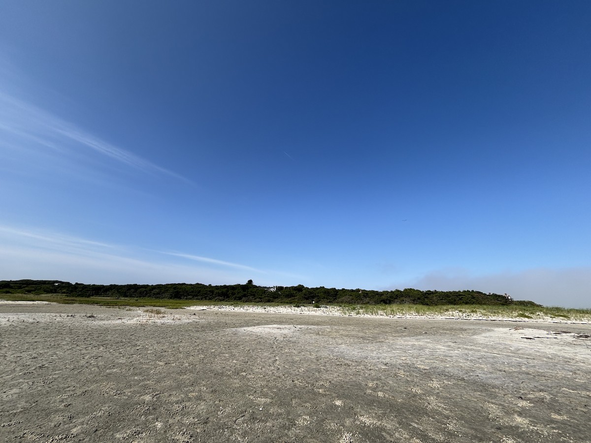 null - ML639597136