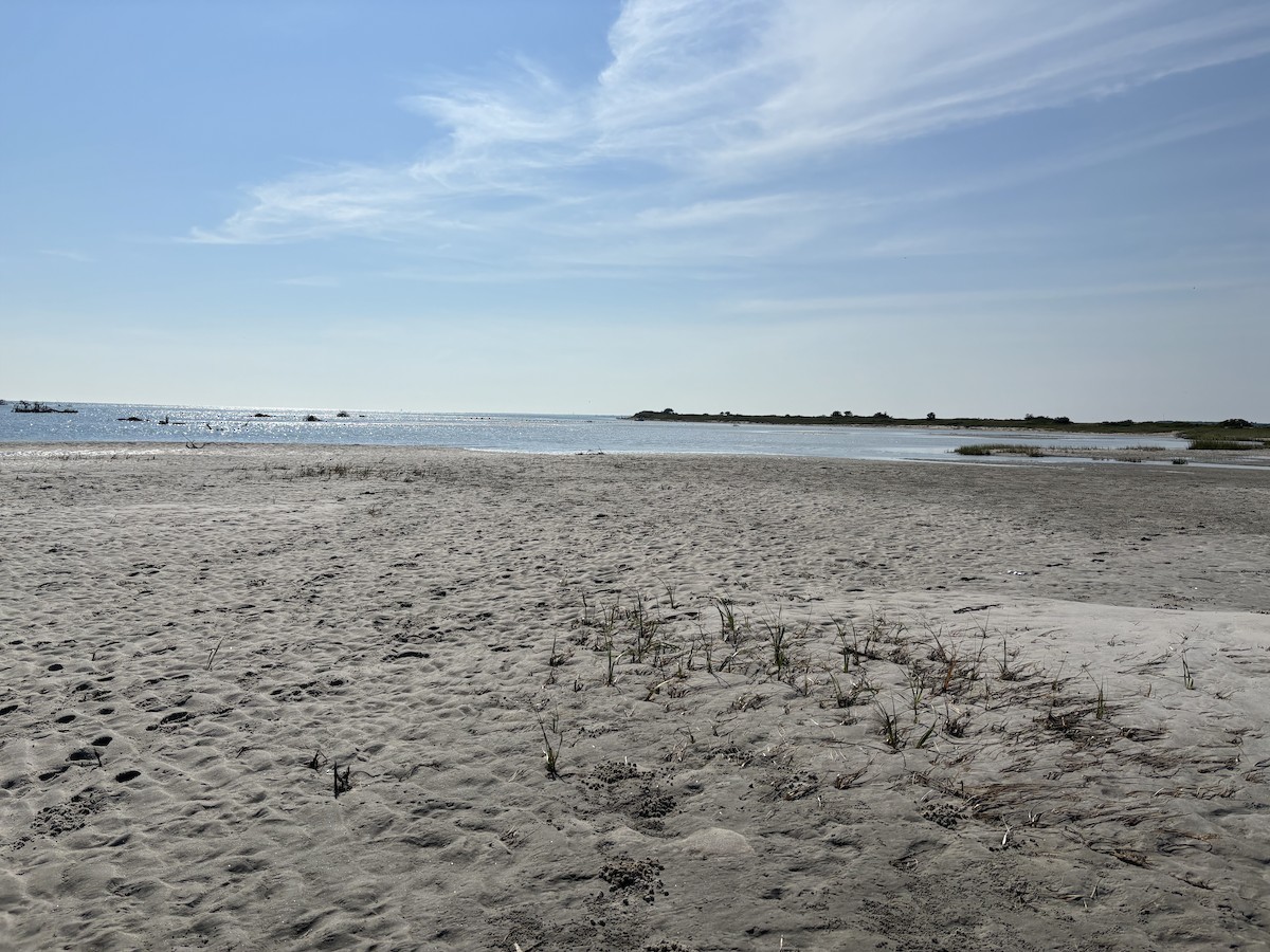 null - ML639597138