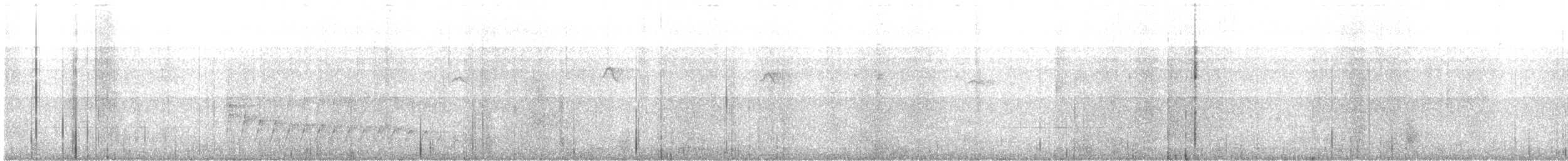 Black-banded Woodcreeper - ML639599279