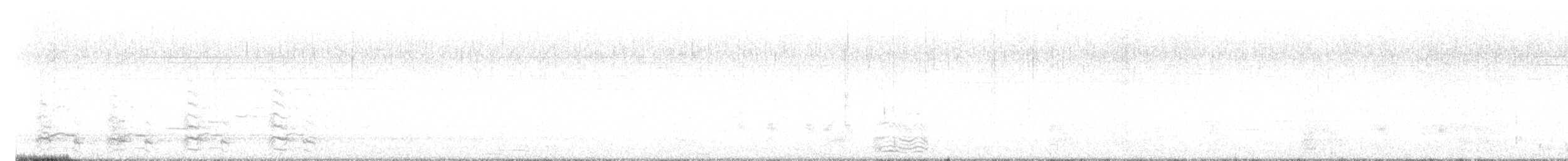 Bonaparte's Gull - ML639599513
