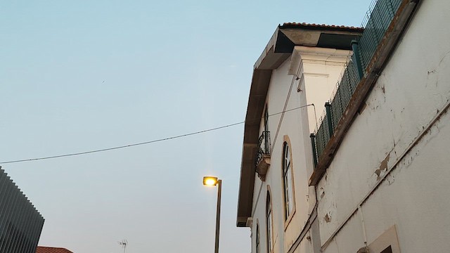 rorýs šedohnědý - ML639600589