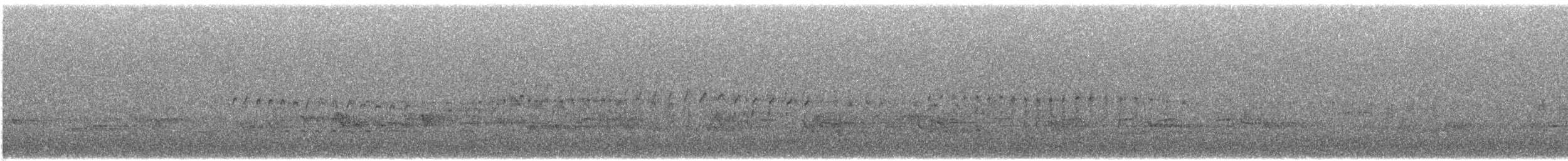 White-throated Swift - ML639601097