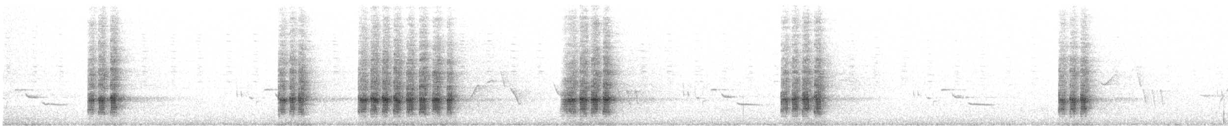 White-throated Magpie-Jay - ML639601939