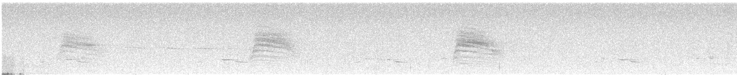 Black-capped Gnatcatcher - ML639602267