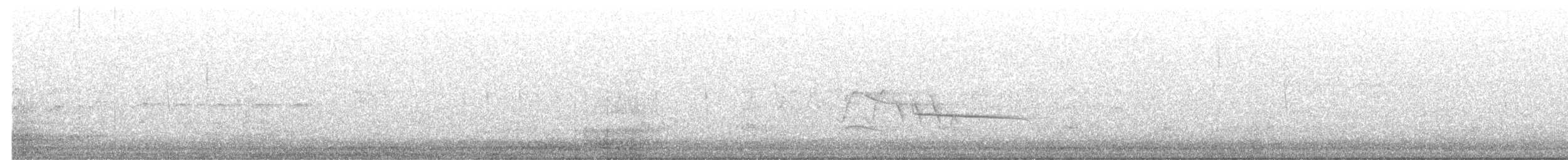 Gray Hawk - ML639603203