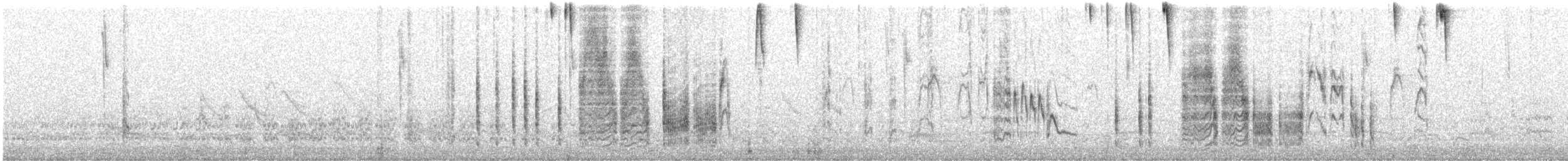 Southern House Wren - ML639603353