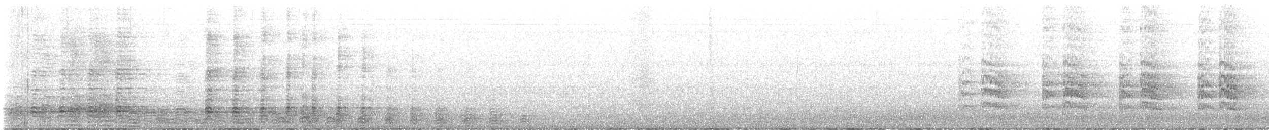 Ibis à face noire - ML639603534