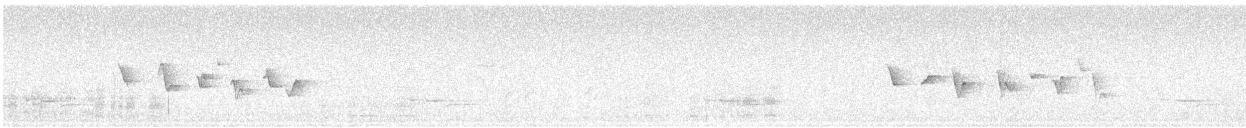 blekktykknebb - ML639603663