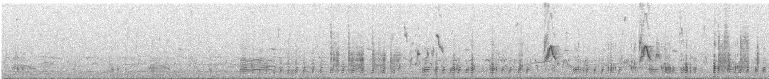 Andean Goose - ML639605440