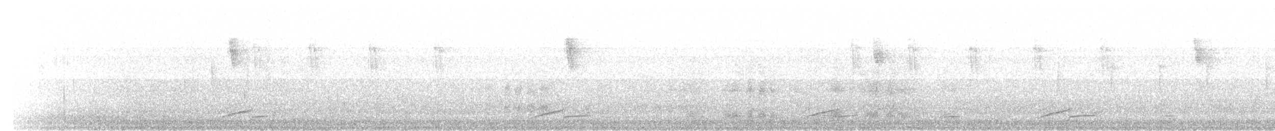 Bar-crested Antshrike - ML639605816