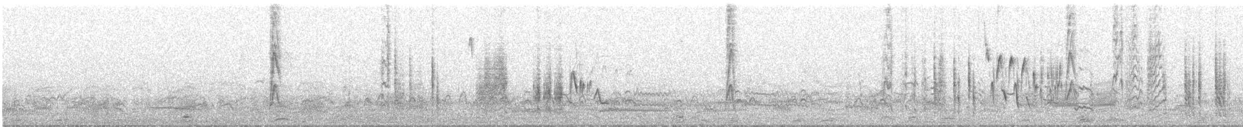 Southern House Wren - ML639606051