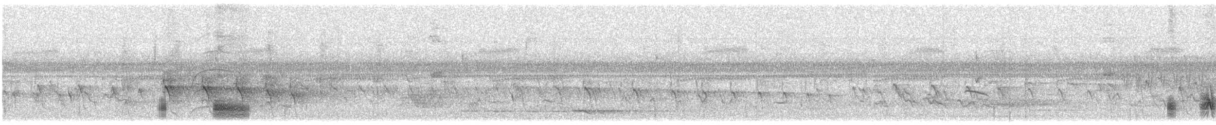 Mato Grosso Antbird - ML639606195