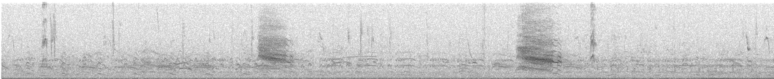 Chimango Caracara - ML639606240