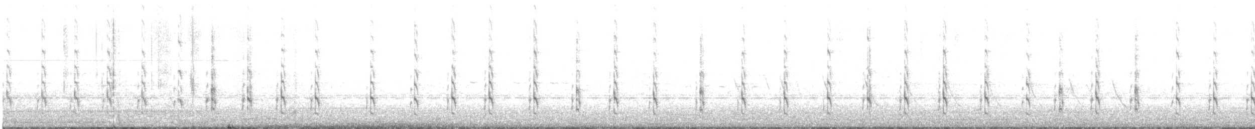 willetsnipe - ML639606521