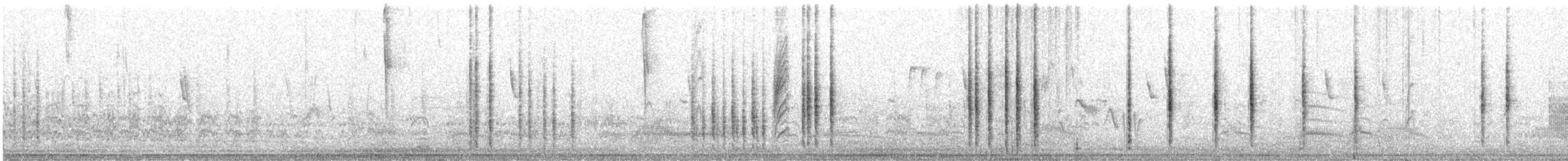 Southern House Wren - ML639606736