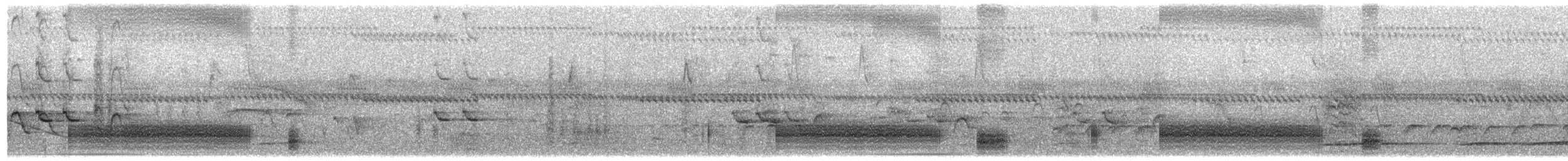 Mato Grosso Antbird - ML639606797