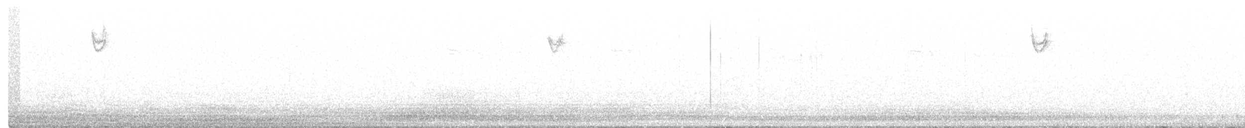 Fox Sparrow (Slate-colored) - ML639607962