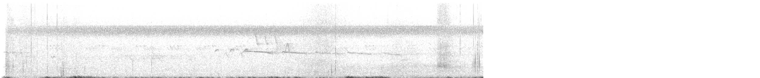 Northern Beardless-Tyrannulet - ML639608216
