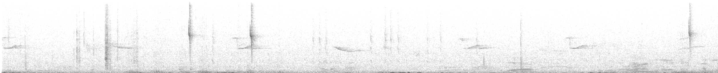 Rivoli's Hummingbird - ML639609914