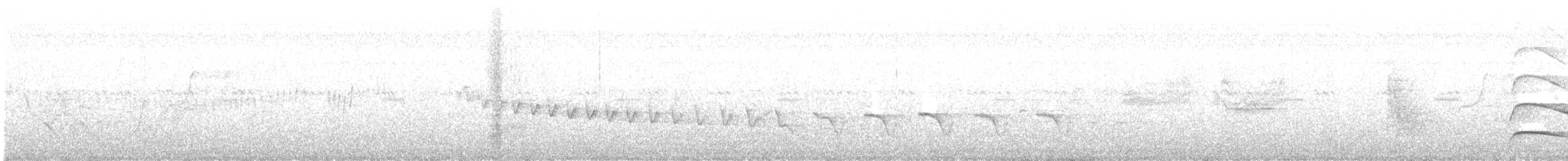 Western Flycatcher (Pacific-slope) - ML639610183