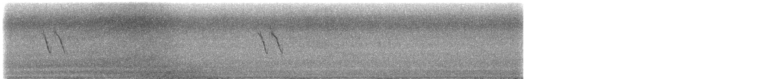 Buztanikara zuria (alboides) - ML639610380