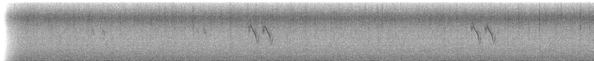 Buztanikara zuria (alboides) - ML639610382