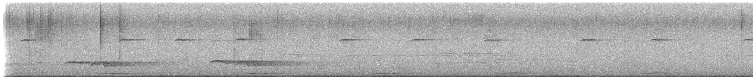 Phasianelle onchall - ML639610562