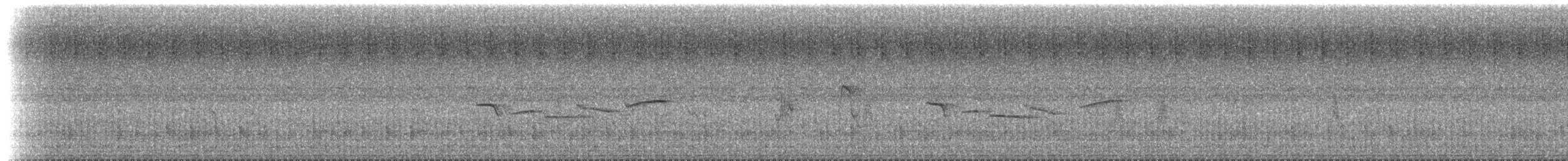 スズメ目 - ML639610859