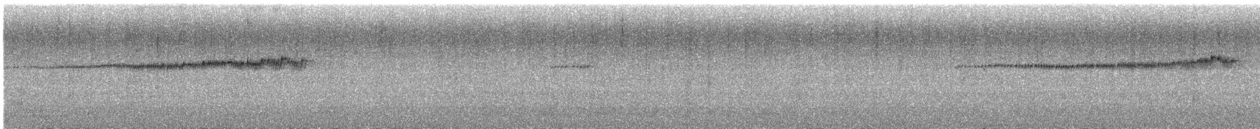 Plumbeous Redstart - ML639611688